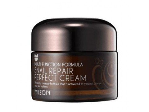 Mizon veido kremas Snail Repair Perfect Cream su sraigių mucinu, atstatantis veido odą 50ml 